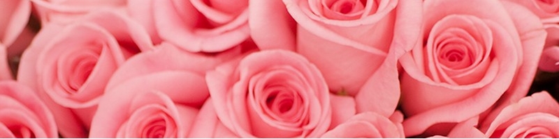 �V�R�y�f�̓����܁y�t�F���~�X�z���T�C�g